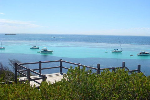 Rottnest Bayseeker Bus Tour From Hillarys Boat Harbour - Accommodation in Brisbane 3