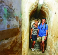Rottnest Island Historical Train and Tunnel Tour from Hillarys Boat Harbour - Accommodation in Brisbane