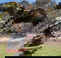 One Day Kangaroo Island Sip  See tour with return ferry transfers from Adelaide - Accommodation in Brisbane