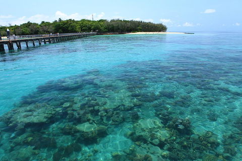 Cairns City Sights And Surrounds Tour - Accommodation in Brisbane 1