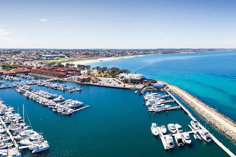 Glass Bottom Boat & Entry At AQWA - Accommodation in Brisbane 2