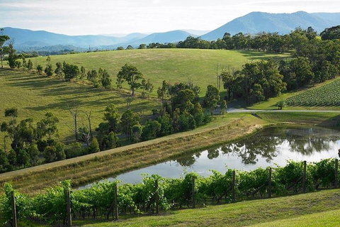 Yarra Valley Wine And Cider Tours By Classic Convertibles From Melbourne - Accommodation in Brisbane 1