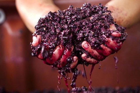 Yarra Valley Wine And Cider Tours By Classic Convertibles From Melbourne - Accommodation in Brisbane 2