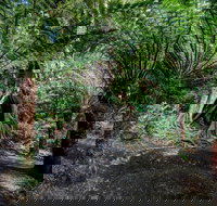 Adelaide to Melbourne 3-Day Trip through Grampians and Great Ocean Road - Accommodation in Brisbane