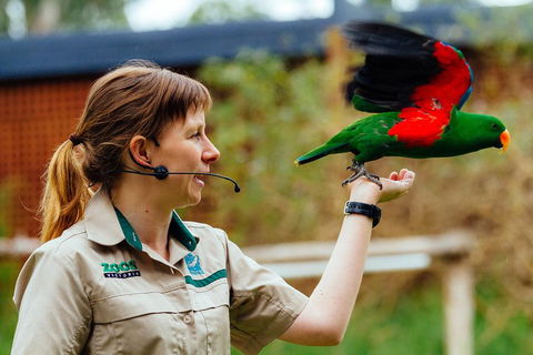 VIP Sanctuary Tour At Healesville Sanctuary Ticket - Accommodation in Brisbane 0