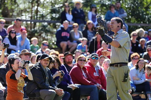 VIP Sanctuary Tour At Healesville Sanctuary Ticket - Accommodation in Brisbane 4