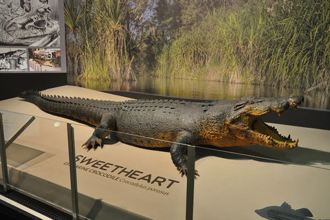 Explore Darwin City Sights Including Key Attractions - Accommodation in Brisbane 2