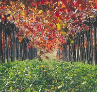 Margaret River Private Tour - Accommodation in Brisbane