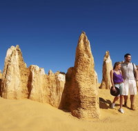 Pinnacles Day Trip from Perth Including Yanchep National Park - Accommodation in Brisbane