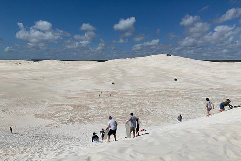 Pinnacles Day Trip From Perth Including Yanchep National Park - Accommodation in Brisbane 2