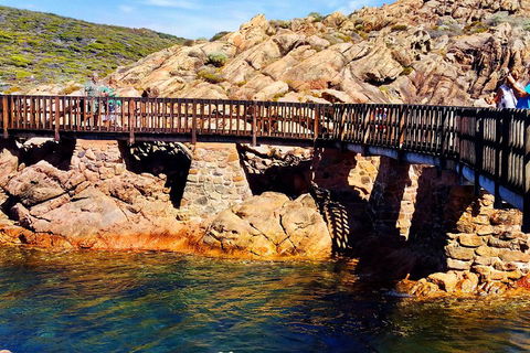 Margaret River (Private) Day Tour - Accommodation in Brisbane 3