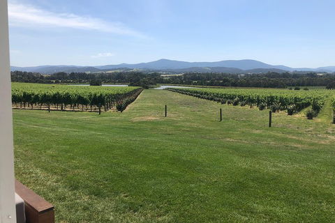 Yarra Valley, Dandenong Ranges Inc. Lunch With Wine,plus Morning Tea,chocolate - Accommodation in Brisbane 3