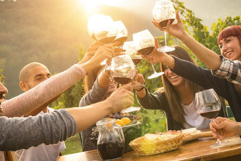 Yarra Valley, Dandenong Ranges Inc. Lunch With Wine,plus Morning Tea,chocolate - Accommodation in Brisbane 4