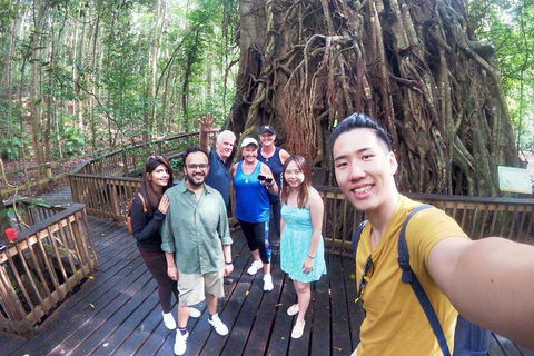 Barron Gorge And Kuranda National Park Half Day Rainforest And Waterfall 4WD Tour From Cairns - Accommodation in Brisbane 5