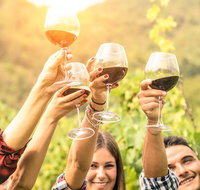 Adelaide Hills Day Tour. Winery Cellar Doors - Accommodation in Brisbane
