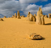 The Pinnacles Sea and Dunescapes Bush Reserve and Sunset Day Tour - Accommodation in Brisbane