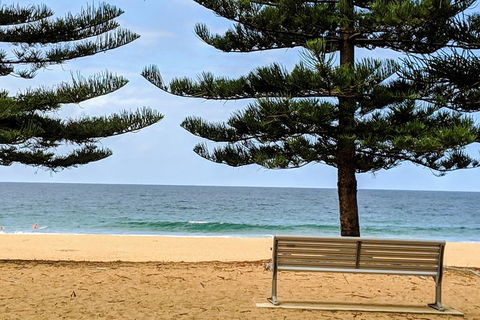 Manly & Sydney's Northern Beaches With 'Personalised Sydney Tours' - Accommodation in Brisbane 0