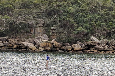 Manly & Sydney's Northern Beaches With 'Personalised Sydney Tours' - Accommodation in Brisbane 3