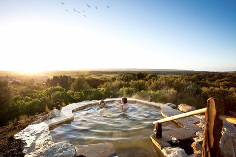 Peninsula Hot Springs & Wine Tasting - Day Tour - Accommodation in Brisbane 0