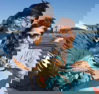 Gold Coast City Sights Tour from Gold Coast - Accommodation in Brisbane