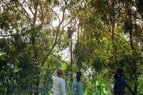 LGBT+ Friendly 3 Day Tour The Grampians, Daylesford & Ballarat - Accommodation in Brisbane 4