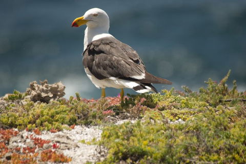 From The Mountains To The Bay - 4 Day Rediscovery Small Group Tour - Accommodation in Brisbane 1