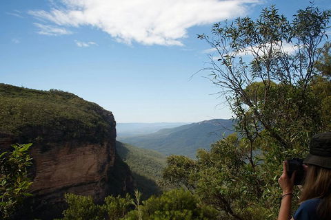 From The Mountains To The Bay - 4 Day Rediscovery Small Group Tour - Accommodation in Brisbane 5