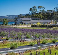 Private Hobart Discover South East Food and Scenic Tour - Accommodation in Brisbane