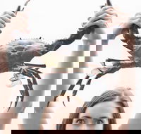 The Ultimate Gold Coast Attractions Pass - Accommodation in Brisbane