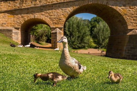Richmond Historic Afternoon Tour From Hobart - Accommodation in Brisbane 1