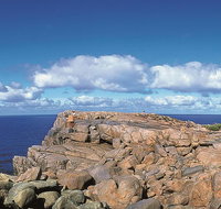 4 Day Tour Albany Margaret River Valley of the Giants TreeTop Walk from Perth - Accommodation in Brisbane