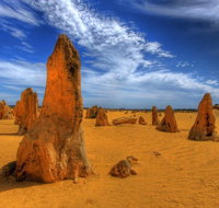 Pinnacles Desert  New Norcia Day Tour from Perth - Accommodation in Brisbane