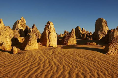 Full Day Pinnacle Desert Explorer From Perth Including Hillarys And Lancelin Sandboarding - Accommodation in Brisbane 3
