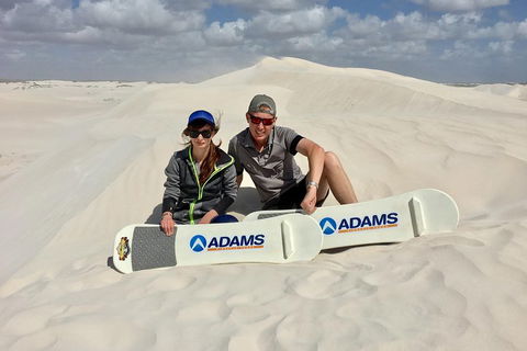 Full Day Pinnacle Desert Explorer From Perth Including Hillarys And Lancelin Sandboarding - Accommodation in Brisbane 4