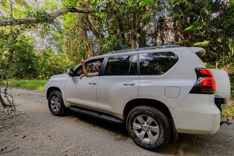 Full Day Cooktown Private Tour - Accommodation in Brisbane 3