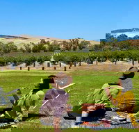 Private Picnic and Wine Tasting Experience in Barossa Valley - Accommodation in Brisbane