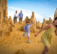 Full-Day Pinnacles Desert and Yanchep National Park Tour From Perth - Accommodation in Brisbane
