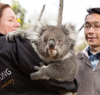 Bonorong Wildlife Park and Richmond Afternoon Tour from Hobart - Accommodation in Brisbane