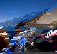 Seal Island Boat Tour from Victor Harbor - Accommodation in Brisbane