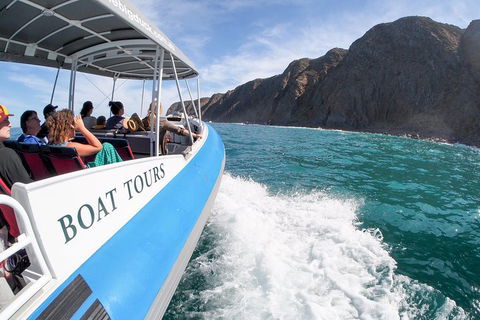 Southern Ocean Adventure From Victor Harbor - Accommodation in Brisbane 0