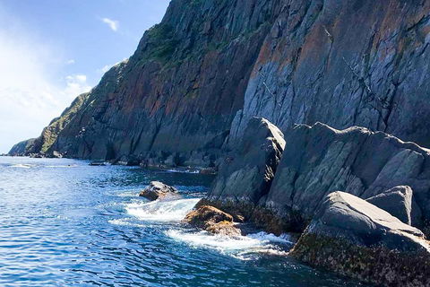 Southern Ocean Adventure From Victor Harbor - Accommodation in Brisbane 3