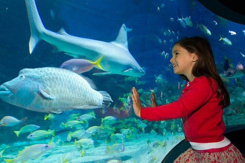 Melbourne BIG Ticket - LEGOLAND Discovery And SEA LIFE Melbourne - Accommodation in Brisbane 1