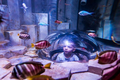 Melbourne BIG Ticket - LEGOLAND Discovery And SEA LIFE Melbourne - Accommodation in Brisbane 5