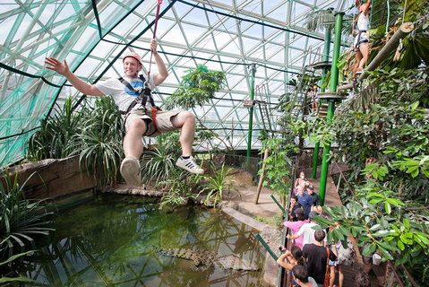 Cairns ZOOM And Wildlife Dome - Accommodation in Brisbane 4
