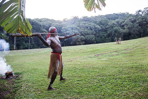Classic Kuranda By Skyrail And Scenic Railway Including Rainforestation, Koala And Wildlife Park And Pamagirri Aboriginal Experi - Accommodation in Brisbane 5