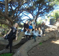 1/2 day Swan Valley Wine Cheese  Chocolate Tour Inc Afternoon Cruise to Perth - Accommodation in Brisbane