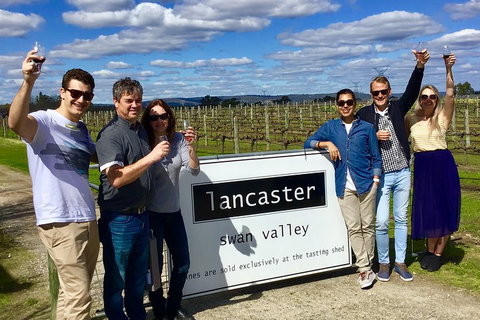 Swan Valley Tour From Perth: Wine, Beer And Chocolate Tastings - Accommodation in Brisbane 1