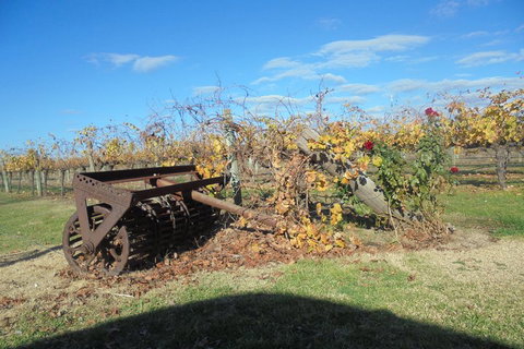 Swan Valley Tour From Perth: Wine, Beer And Chocolate Tastings - Accommodation in Brisbane 3