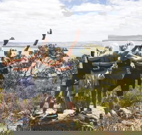 6-Day Eyre Peninsula  Flinders Ranges Adventure Tour - Accommodation in Brisbane