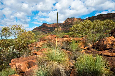 6-Day Eyre Peninsula & Flinders Ranges Adventure Tour - Accommodation in Brisbane 1